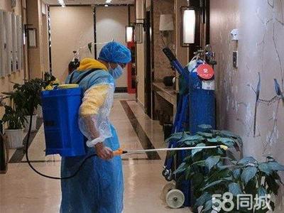 專業保潔服務 從美縫除醛到衣櫥整理，全方位守護家居健康